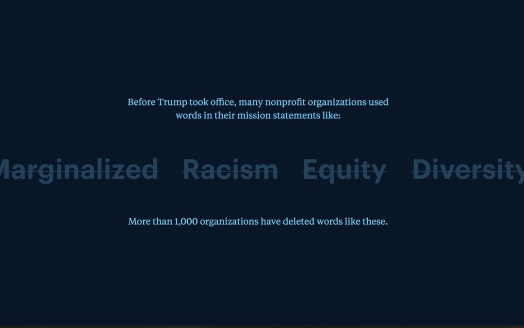 The Language of Survival: How Justice-Motivated Organizations Are Staying Funded Without Losing Their Soul