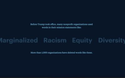 The Language of Survival: How Justice-Motivated Organizations Are Staying Funded Without Losing Their Soul